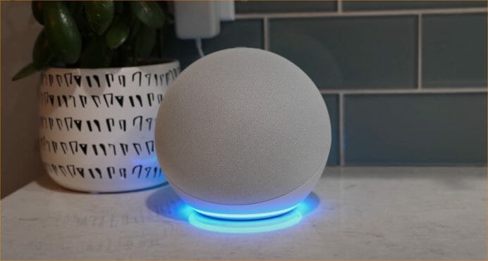 How to Delete Your Voice Profile on Alexa (Guide)