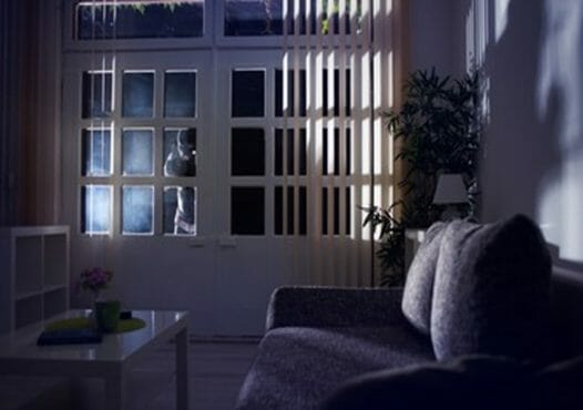 buglar at the window