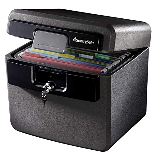 SentrySafe Fireproof and Waterproof Safe Box with Key Lock, File and...