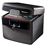 SentrySafe Fireproof and Waterproof Safe Box with Key Lock, File and...