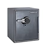 SentrySafe Fireproof and Waterproof Steel Home Safe with Digital Keypad...