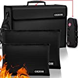 Fireproof Bag with Lock (TSA Approved) No Key Required | Fireproof Document...
