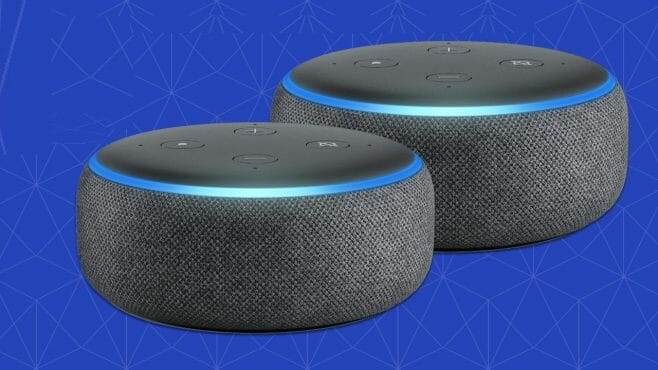 two alexa echo dots