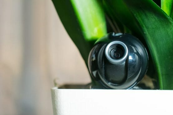 Webcam hidden in a flower pot for covert surveillance of the house. Surveillance and security systems Webcam hidden in a flower pot for covert surveillance of the house. Surveillance and security systems