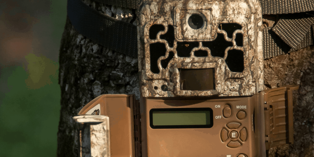 How does a Cellular Trail Camera work?