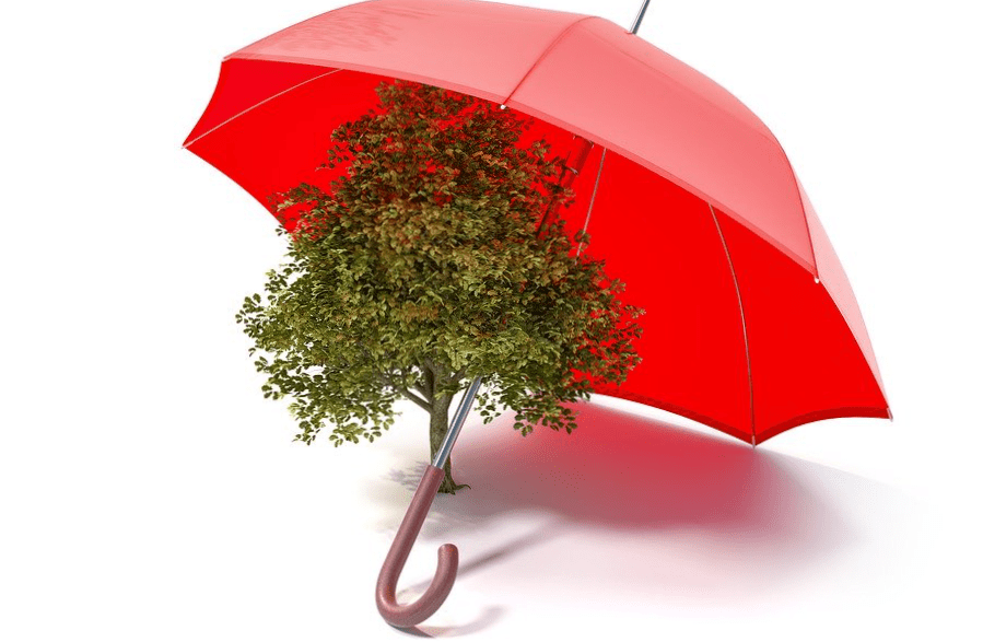 (Valuable Secrets) 4 Ways To Learn How to Protect Your Business